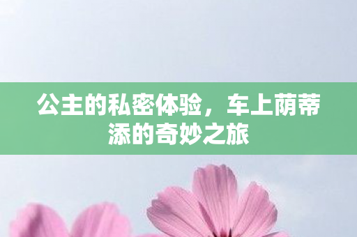 车上荫蒂添的奇妙之旅图片