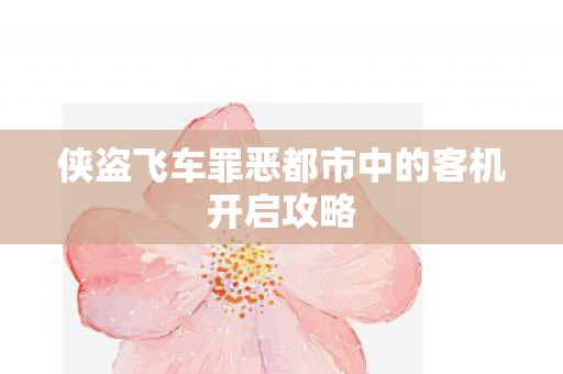 侠盗飞车罪恶都市中的客机开启攻略图片