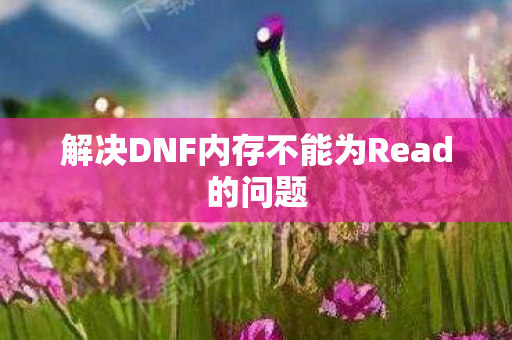 解决DNF内存不能为Read的问题图片
