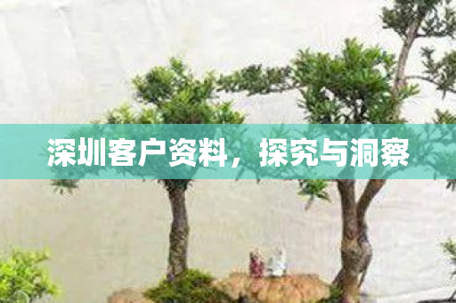 深圳客户资料图片