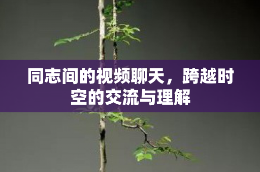 跨越时空的交流与理解图片
