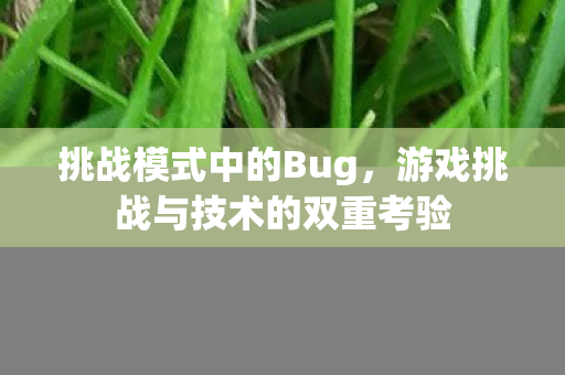 游戏挑战与技术的双重考验图片