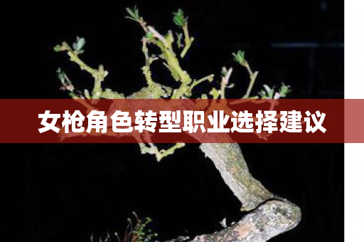 女枪角色转型职业选择建议图片