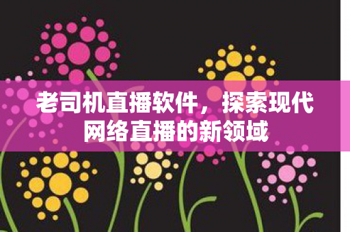 探索现代网络直播的新领域图片