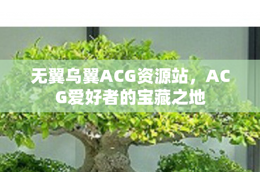 ACG爱好者的宝藏之地图片