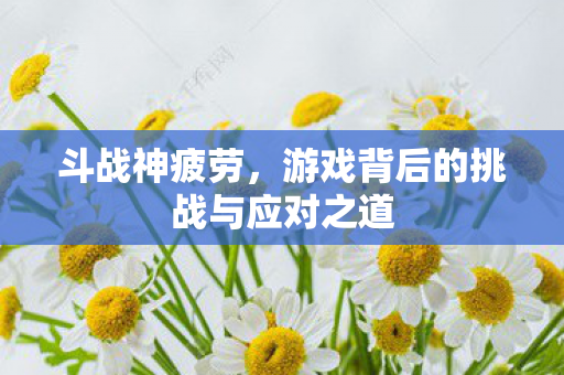 游戏背后的挑战与应对之道图片