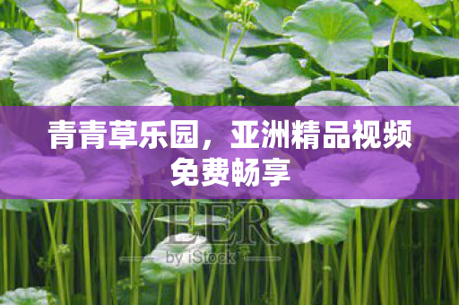 亚洲精品视频免费畅享图片