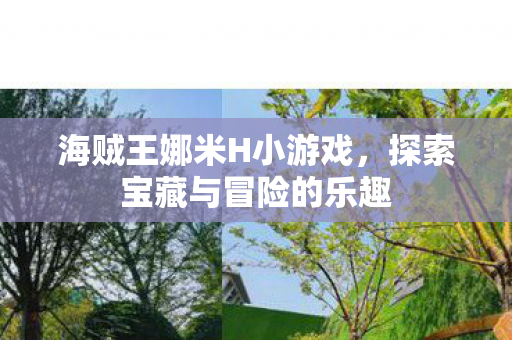 探索宝藏与冒险的乐趣图片
