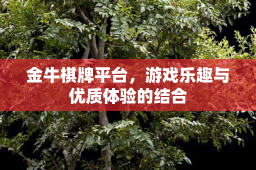 游戏乐趣与优质体验的结合图片