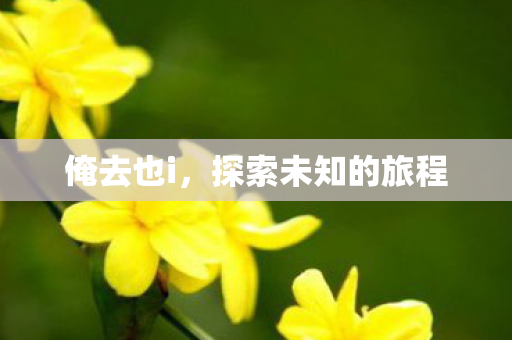 探索未知的旅程图片