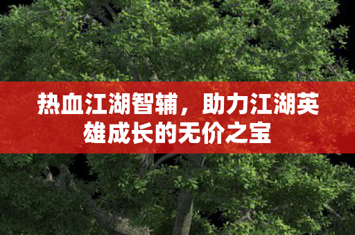 助力江湖英雄成长的无价之宝图片