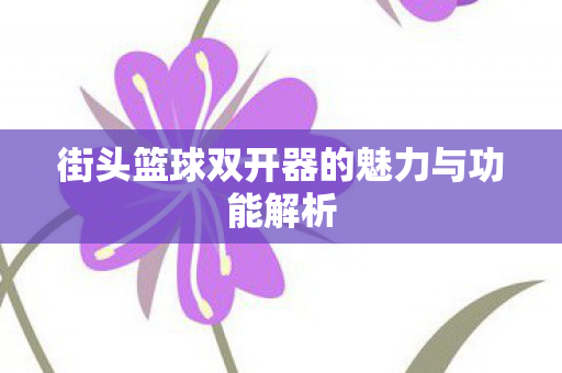 街头篮球双开器的魅力与功能解析图片