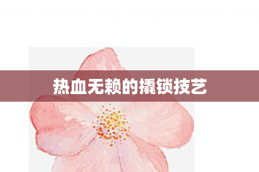热血无赖的撬锁技艺图片