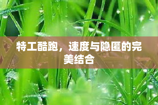速度与隐匿的完美结合图片