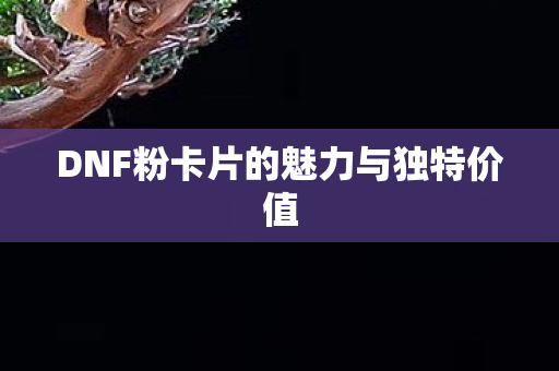 DNF粉卡片的魅力与独特价值图片