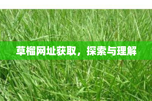 草榴网址获取图片