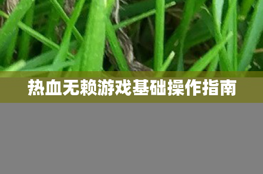 热血无赖游戏基础操作指南图片
