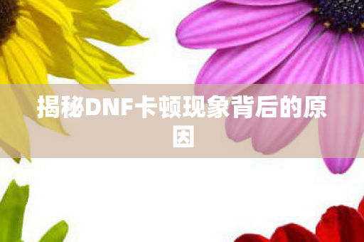 揭秘DNF卡顿现象背后的原因图片