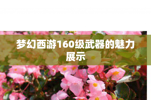 梦幻西游160级武器的魅力展示图片