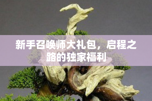 启程之路的独家福利图片
