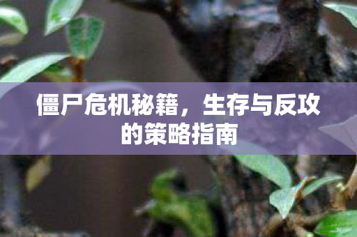 生存与反攻的策略指南图片