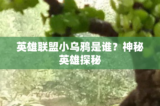 英雄联盟小乌鸦是谁图片