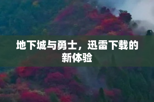 迅雷下载的新体验图片