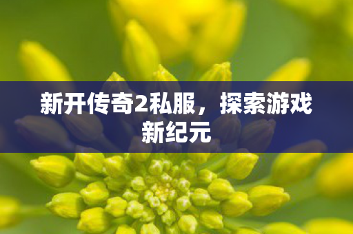 新开传奇2私服图片