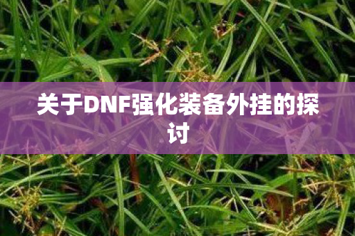 关于DNF强化装备外挂的探讨图片