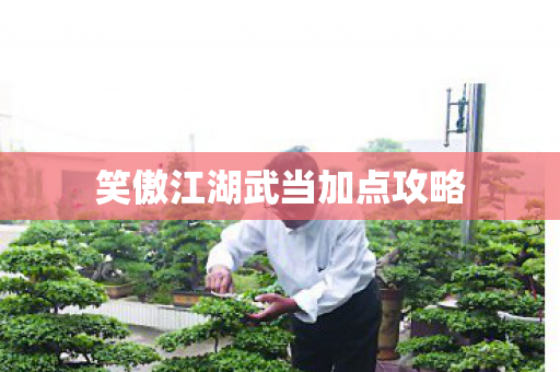 笑傲江湖武当加点攻略图片