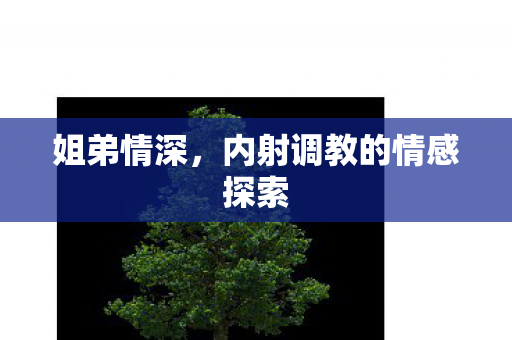 内射调教的情感探索图片