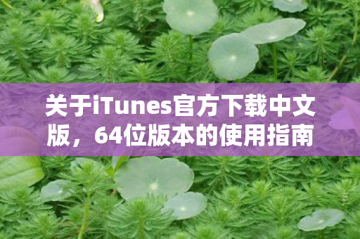 关于iTunes官方下载中文版图片