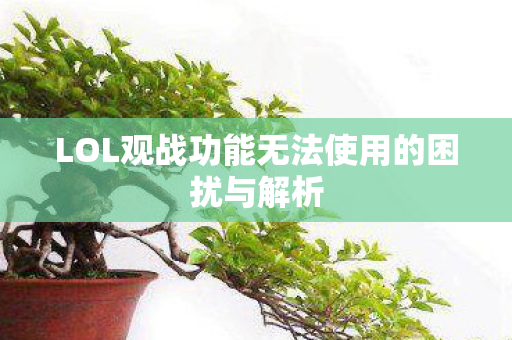 LOL观战功能无法使用的困扰与解析图片