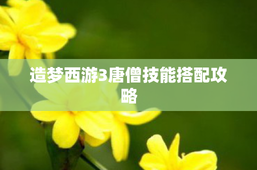 造梦西游3唐僧技能搭配攻略图片