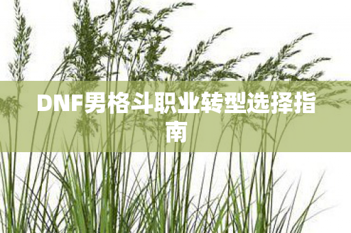 DNF男格斗职业转型选择指南图片