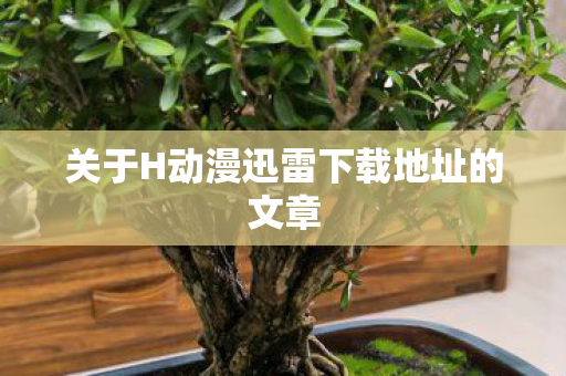 关于H动漫迅雷下载地址的文章图片