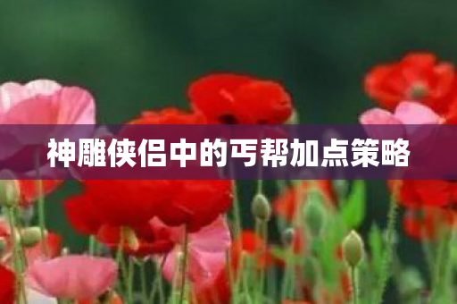 神雕侠侣中的丐帮加点策略图片