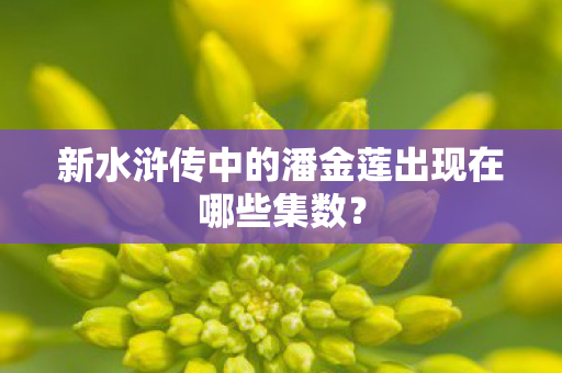 新水浒传中的潘金莲出现在哪些集数图片