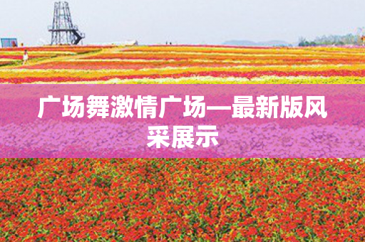 广场舞激情广场图片