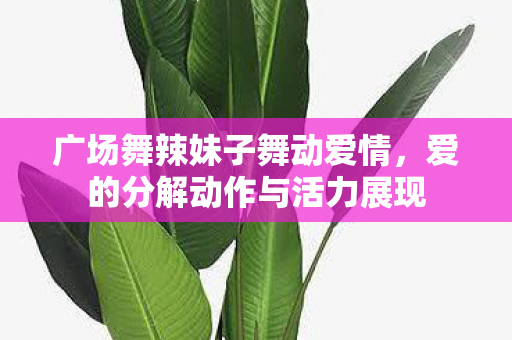 爱的分解动作与活力展现图片