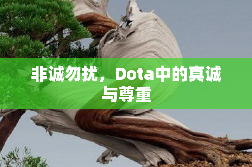 Dota中的真诚与尊重图片