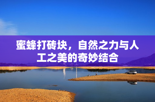 自然之力与人工之美的奇妙结合图片