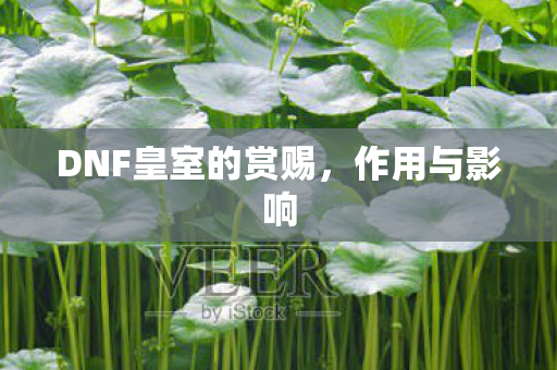 DNF皇室的赏赐图片