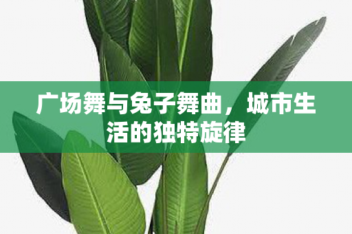 城市生活的独特旋律图片