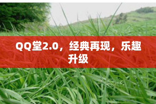 QQ堂2图片