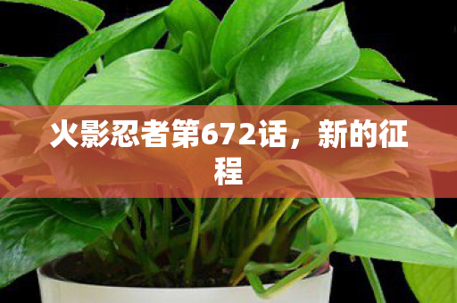 火影忍者第672话图片