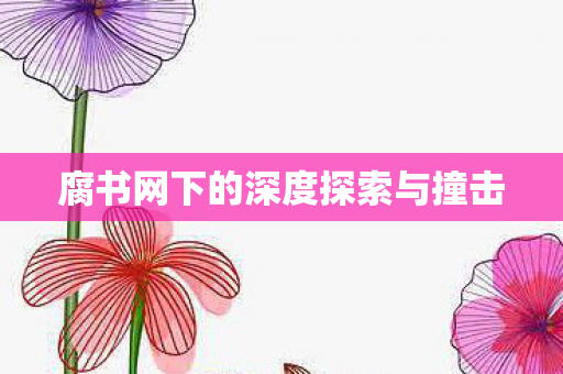 腐书网下的深度探索与撞击图片