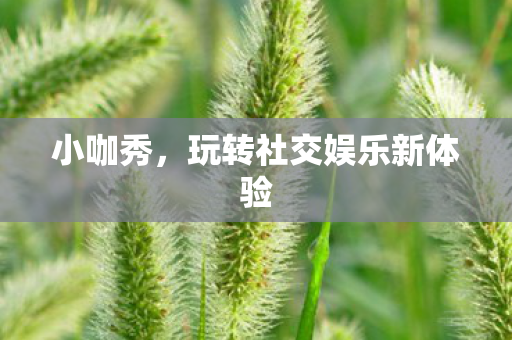 玩转社交娱乐新体验图片