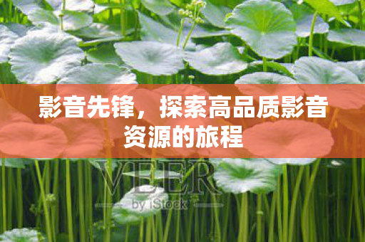 探索高品质影音资源的旅程图片