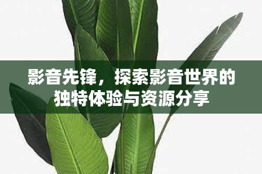 探索影音世界的独特体验与资源分享图片